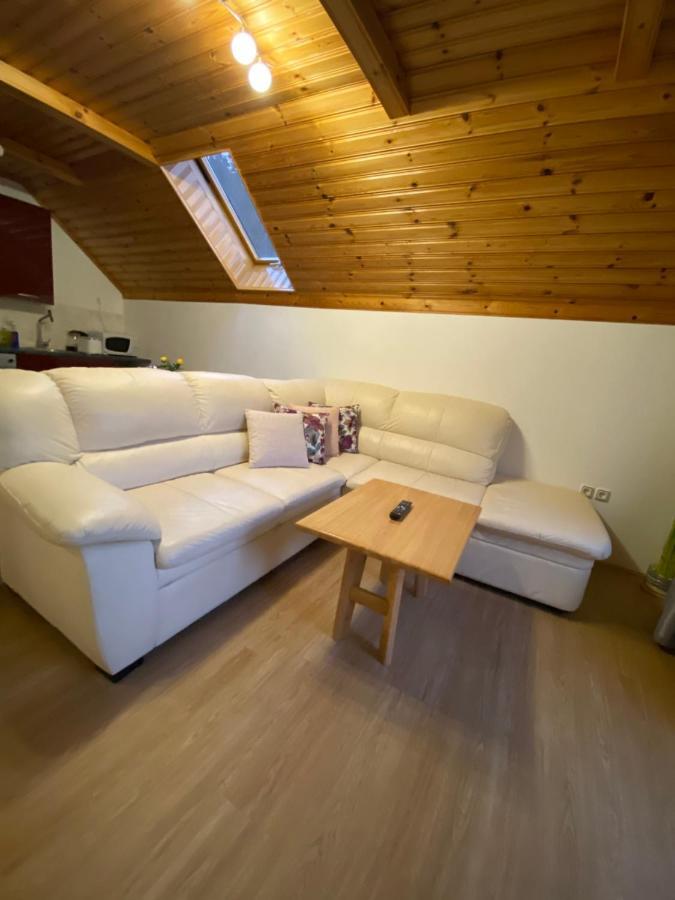 Apartment Bosili Mojstrana Ngoại thất bức ảnh